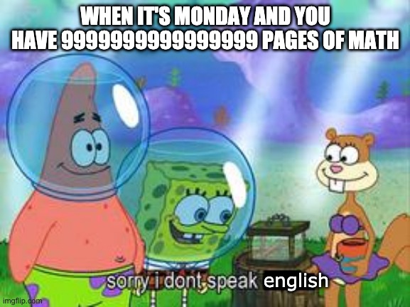 Sorry I don't speak ____ | WHEN IT'S MONDAY AND YOU HAVE 9999999999999999 PAGES OF MATH; english | image tagged in sorry i don't speak ____ | made w/ Imgflip meme maker