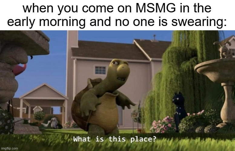 What is this place | when you come on MSMG in the early morning and no one is swearing: | image tagged in what is this place | made w/ Imgflip meme maker
