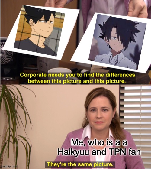 They're The Same Picture | Me, who is a a Haikyuu and TPN fan | image tagged in memes,they're the same picture | made w/ Imgflip meme maker