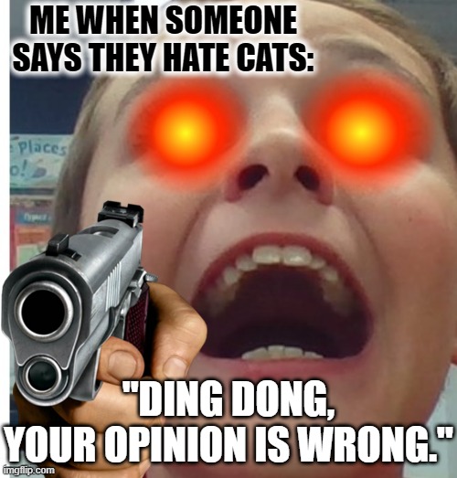 LOL | ME WHEN SOMEONE SAYS THEY HATE CATS:; "DING DONG,
YOUR OPINION IS WRONG." | image tagged in funny,opinion,angery | made w/ Imgflip meme maker