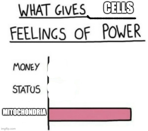 What Gives People Feelings of Power | CELLS; MITOCHONDRIA | image tagged in what gives people feelings of power | made w/ Imgflip meme maker