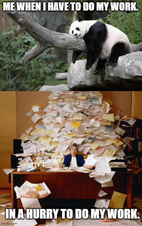ME WHEN I HAVE TO DO MY WORK. IN A HURRY TO DO MY WORK. | image tagged in lazy panda,busy | made w/ Imgflip meme maker