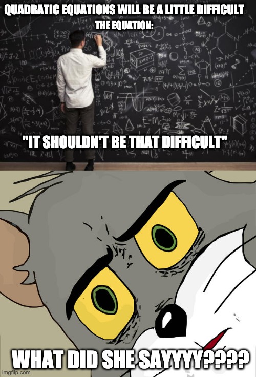Mathhh | QUADRATIC EQUATIONS WILL BE A LITTLE DIFFICULT; THE EQUATION:; "IT SHOULDN'T BE THAT DIFFICULT"; WHAT DID SHE SAYYYY???? | image tagged in math,memes,unsettled tom | made w/ Imgflip meme maker