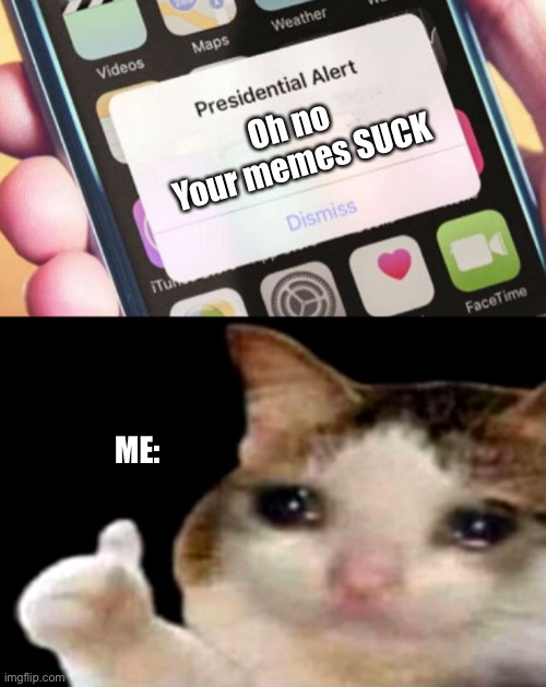 Noooo | Oh no 
Your memes SUCK; ME: | image tagged in memes,presidential alert,sad cat thumbs up | made w/ Imgflip meme maker