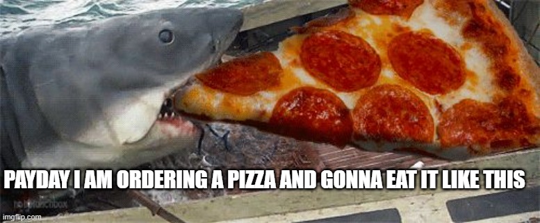 Pizza shark | PAYDAY I AM ORDERING A PIZZA AND GONNA EAT IT LIKE THIS | image tagged in pizza shark | made w/ Imgflip meme maker