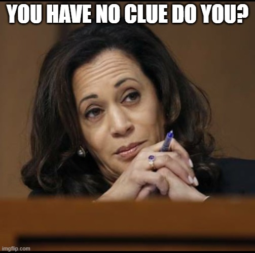 Kamala Harris  | YOU HAVE NO CLUE DO YOU? | image tagged in kamala harris | made w/ Imgflip meme maker