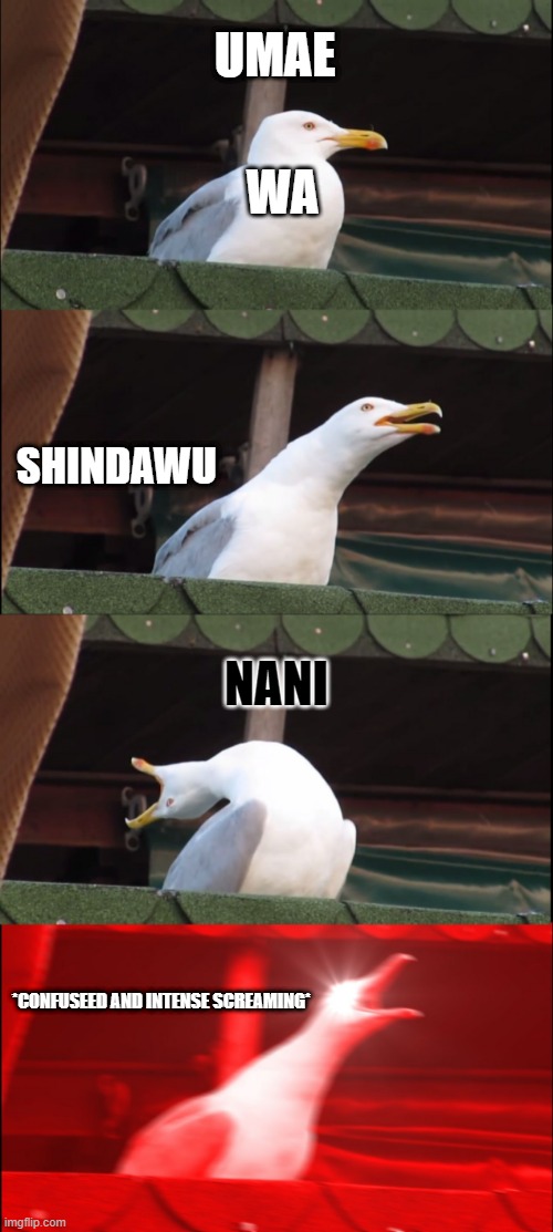 Inhaling Seagull Meme | UMAE; WA; SHINDAWU; NANI; *CONFUSEED AND INTENSE SCREAMING* | image tagged in memes,inhaling seagull | made w/ Imgflip meme maker