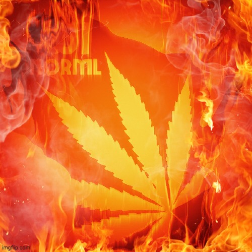 Smoke Weed Everyday | image tagged in smoke weed everyday,420 memes | made w/ Imgflip meme maker