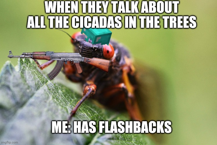 Cicadas in Vietnam | WHEN THEY TALK ABOUT ALL THE CICADAS IN THE TREES; ME: HAS FLASHBACKS | image tagged in funny,vietnam | made w/ Imgflip meme maker