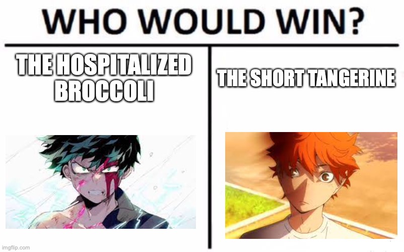 I have no idea why I made this | THE HOSPITALIZED BROCCOLI; THE SHORT TANGERINE | image tagged in memes,who would win | made w/ Imgflip meme maker