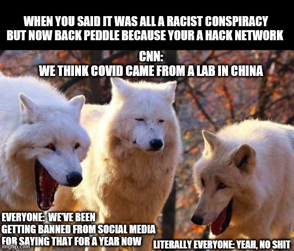 Trust the Media! | WHEN YOU SAID IT WAS ALL A RACIST CONSPIRACY BUT NOW BACK PEDDLE BECAUSE YOUR A HACK NETWORK; CNN:
WE THINK COVID CAME FROM A LAB IN CHINA; EVERYONE:  WE'VE BEEN GETTING BANNED FROM SOCIAL MEDIA FOR SAYING THAT FOR A YEAR NOW; LITERALLY EVERYONE: YEAH, NO SHIT | image tagged in laughing wolf,covid-19,china,made in china,cnn | made w/ Imgflip meme maker