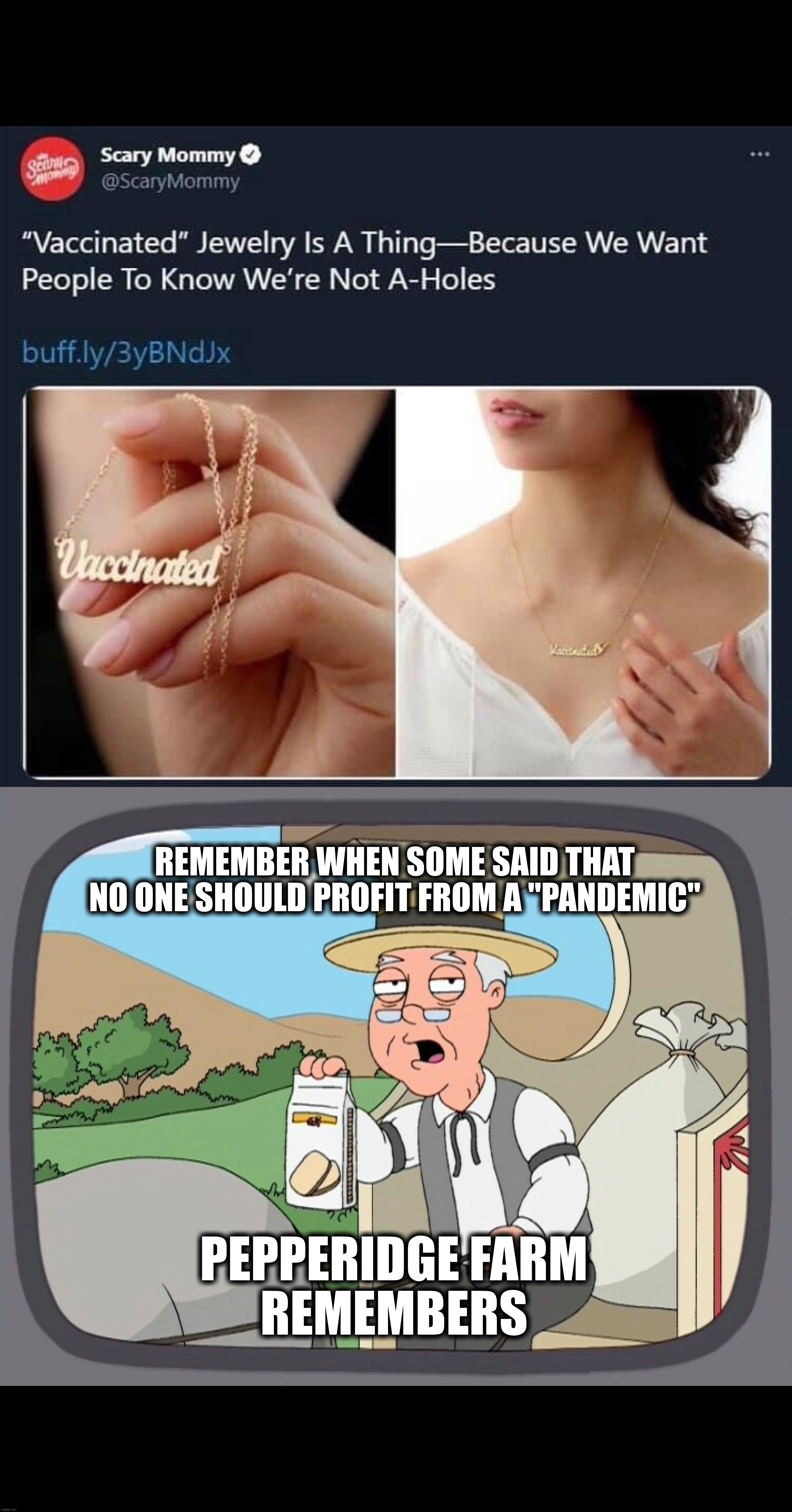Profiting from a "pandemic"? Didn’t they say that was wrong? | REMEMBER WHEN SOME SAID THAT NO ONE SHOULD PROFIT FROM A "PANDEMIC"; PEPPERIDGE FARM
REMEMBERS | image tagged in pandemic,coronavirus,covid-19,vaccine,vaccination,bill gates loves vaccines | made w/ Imgflip meme maker