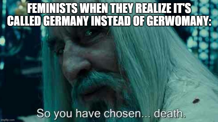 So you have chosen death | FEMINISTS WHEN THEY REALIZE IT'S CALLED GERMANY INSTEAD OF GERWOMANY: | image tagged in so you have chosen death | made w/ Imgflip meme maker