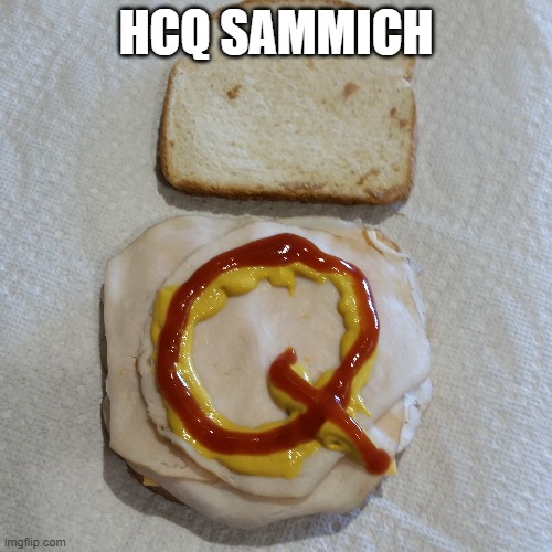 YUMM | HCQ SAMMICH | image tagged in sandwich | made w/ Imgflip meme maker