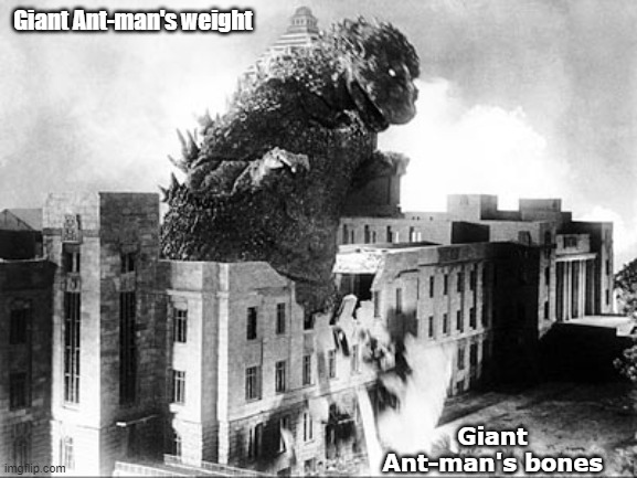 antman |  Giant Ant-man's weight; Giant Ant-man's bones | image tagged in antman | made w/ Imgflip meme maker