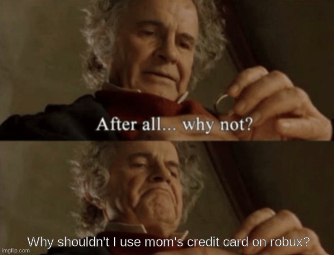gamer moment | Why shouldn't I use mom's credit card on robux? | image tagged in after all why not | made w/ Imgflip meme maker
