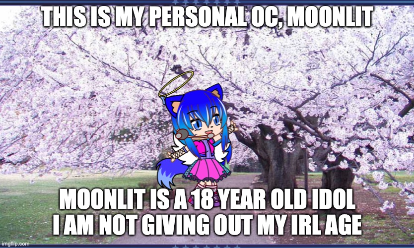This is my personal OC... please don't hate on it | THIS IS MY PERSONAL OC, MOONLIT; MOONLIT IS A 18 YEAR OLD IDOL
I AM NOT GIVING OUT MY IRL AGE | made w/ Imgflip meme maker