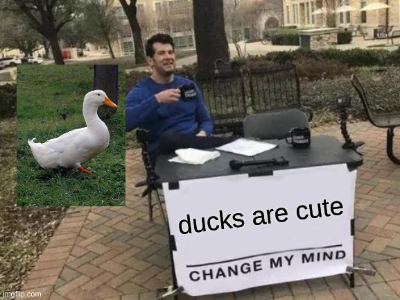 ducky | ducks are cute | image tagged in memes,change my mind | made w/ Imgflip meme maker