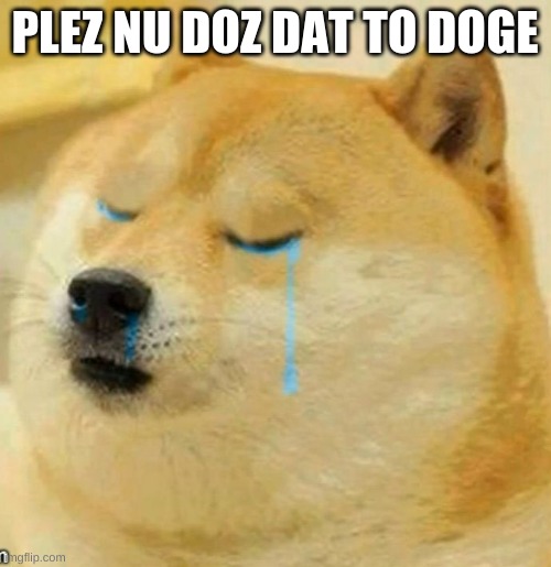 sad doge | PLEZ NU DOZ DAT TO DOGE | image tagged in sad doge | made w/ Imgflip meme maker