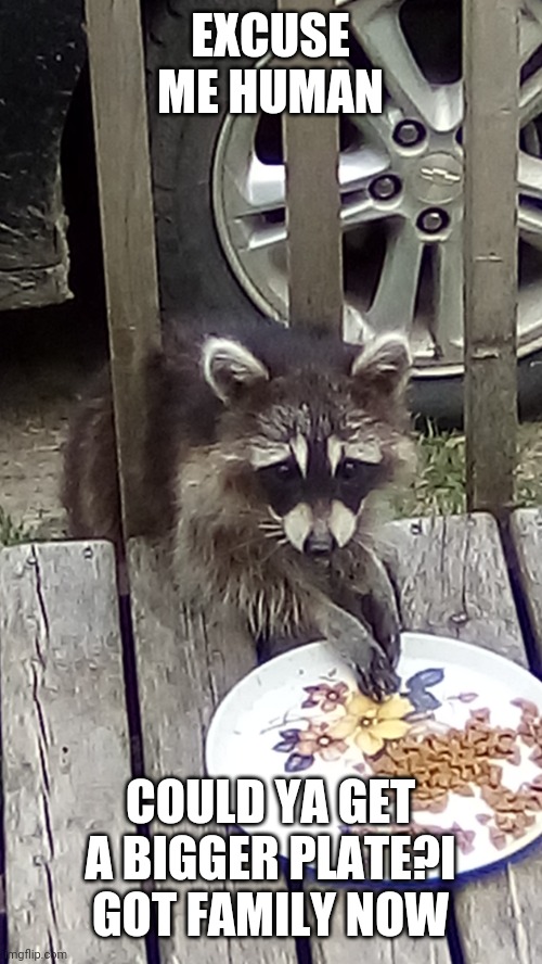 Bandit | EXCUSE ME HUMAN; COULD YA GET A BIGGER PLATE?I GOT FAMILY NOW | image tagged in bandit | made w/ Imgflip meme maker