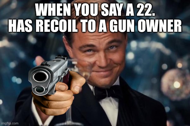 Leonardo Dicaprio Cheers | WHEN YOU SAY A 22. HAS RECOIL TO A GUN OWNER | image tagged in memes,leonardo dicaprio cheers | made w/ Imgflip meme maker