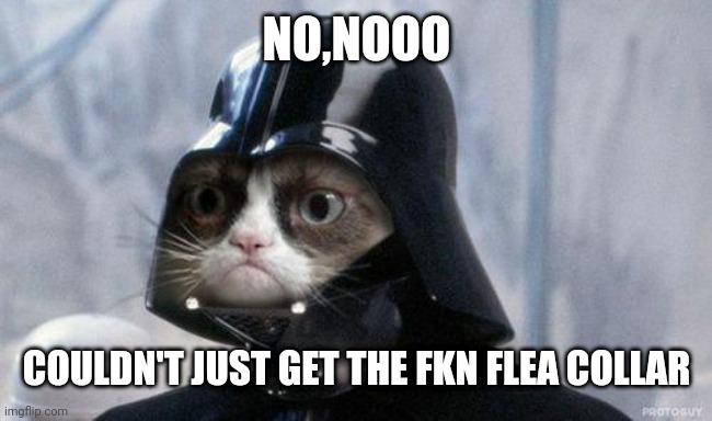 Grumpy Cat Star Wars | NO,NOOO; COULDN'T JUST GET THE FKN FLEA COLLAR | image tagged in memes,grumpy cat star wars,grumpy cat | made w/ Imgflip meme maker