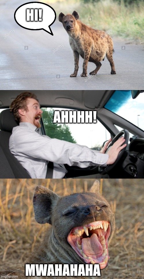 stupid hyena | HI! AHHHH! MWAHAHAHA | image tagged in funny,hyena | made w/ Imgflip meme maker