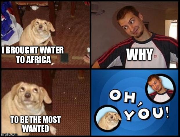 get it | WHY; I BROUGHT WATER 
TO AFRICA; TO BE THE MOST
WANTED | image tagged in oh you | made w/ Imgflip meme maker