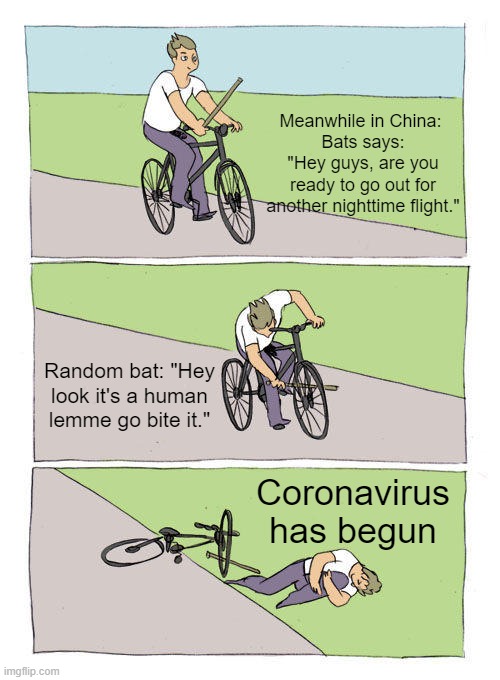 online school is making me too mad | Meanwhile in China: 
Bats says:
"Hey guys, are you ready to go out for another nighttime flight."; Random bat: "Hey look it's a human lemme go bite it."; Coronavirus has begun | image tagged in memes,bike fall | made w/ Imgflip meme maker