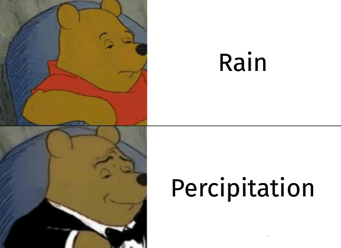 It's actually raing where im at right now |  Rain; Percipitation | image tagged in memes,tuxedo winnie the pooh | made w/ Imgflip meme maker