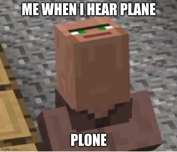 Minecraft Villager Looking Up | ME WHEN I HEAR PLANE; PLONE | image tagged in minecraft villager looking up | made w/ Imgflip meme maker