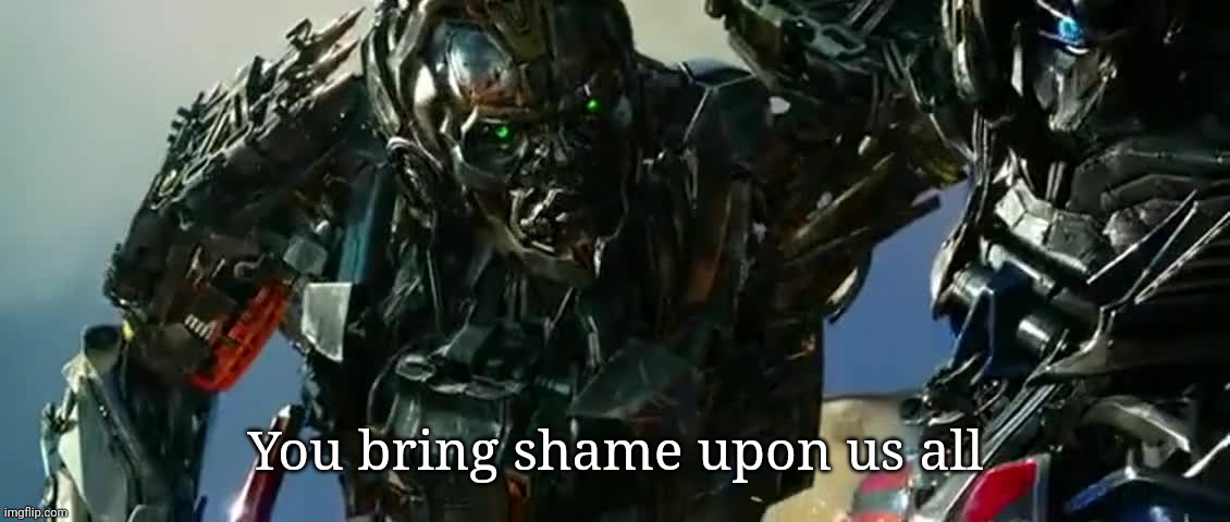 You bring shame upon us all | image tagged in you bring shame upon us all | made w/ Imgflip meme maker
