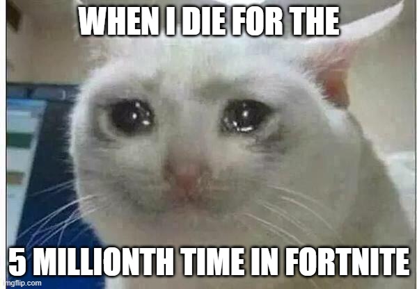 crying cat | WHEN I DIE FOR THE; 5 MILLIONTH TIME IN FORTNITE | image tagged in crying cat | made w/ Imgflip meme maker