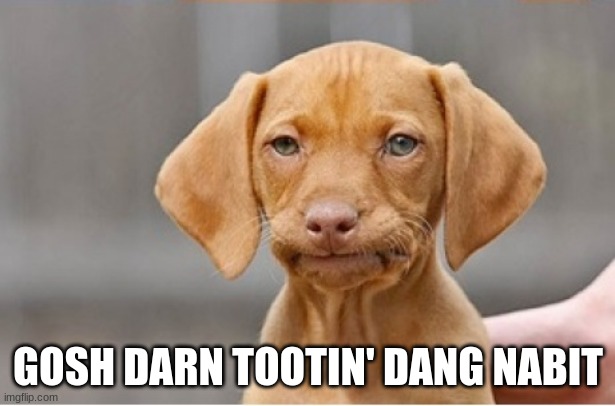 Well Shit | GOSH DARN TOOTIN' DANG NABIT | image tagged in well shit | made w/ Imgflip meme maker