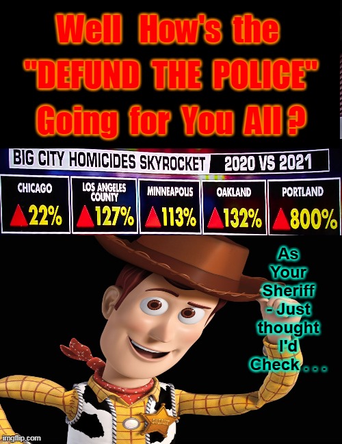 REACH FOR THE SKY - I Like to Say to Varmints !! | Well   How's  the; "DEFUND  THE  POLICE"; Going  for  You  All ? As Your Sheriff - Just thought I'd Check . . . | image tagged in vandalism,thief murderer,stab,kill,murder,hiding from serial killer | made w/ Imgflip meme maker