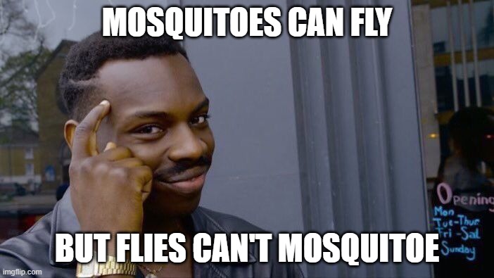 Smart | MOSQUITOES CAN FLY; BUT FLIES CAN'T MOSQUITOE | image tagged in memes,roll safe think about it | made w/ Imgflip meme maker