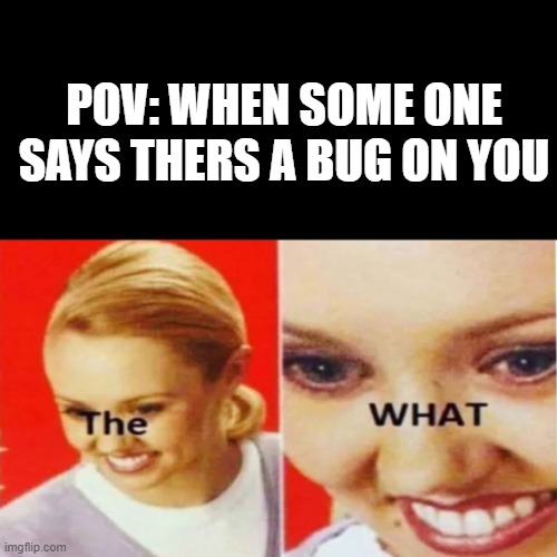 pov: thers a bug on you | POV: WHEN SOME ONE SAYS THERS A BUG ON YOU | image tagged in pov | made w/ Imgflip meme maker