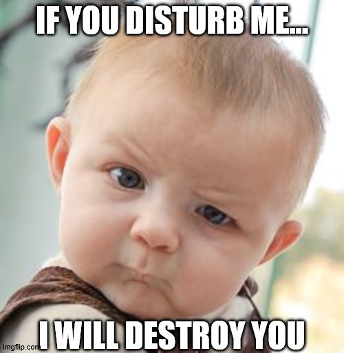 Hanging on my Office Door | IF YOU DISTURB ME... I WILL DESTROY YOU | image tagged in memes,skeptical baby | made w/ Imgflip meme maker