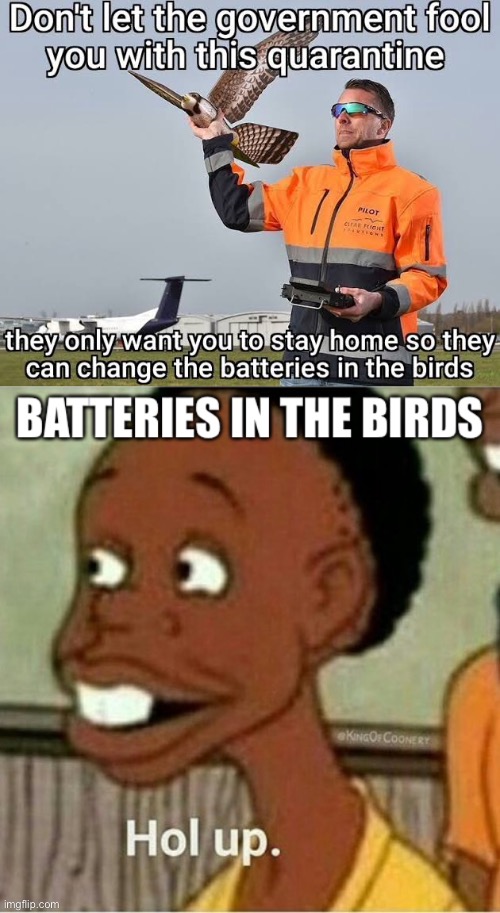 Covid19 bird conspiracy | image tagged in hold up,hol up,birds,batteries,conspiracy,covid19 | made w/ Imgflip meme maker