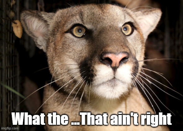 What the ...That ain't right | made w/ Imgflip meme maker