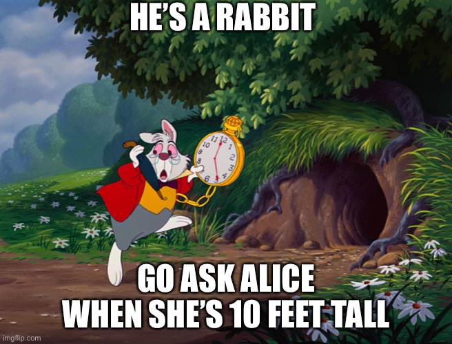 White Rabbit Alice in "onderland | HE’S A RABBIT GO ASK ALICE
WHEN SHE’S 10 FEET TALL | image tagged in white rabbit alice in onderland | made w/ Imgflip meme maker