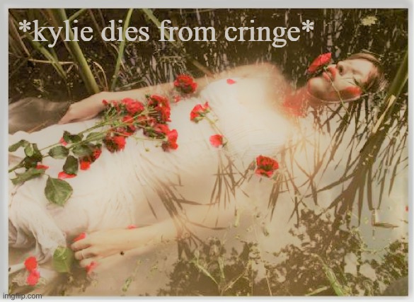 Kylie dies from cringe redux | image tagged in kylie dies from cringe redux | made w/ Imgflip meme maker