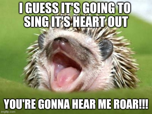 I GUESS IT'S GOING TO 
SING IT'S HEART OUT; YOU'RE GONNA HEAR ME ROAR!!! | image tagged in funny memes | made w/ Imgflip meme maker