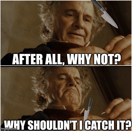 My reflexes whenever I drop a knife | AFTER ALL, WHY NOT? WHY SHOULDN’T I CATCH IT? | image tagged in bilbo - why shouldn t i keep it | made w/ Imgflip meme maker