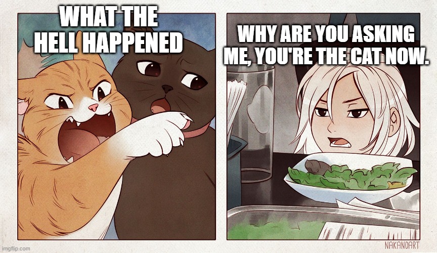 Cat yelling at girl | WHY ARE YOU ASKING ME, YOU'RE THE CAT NOW. WHAT THE HELL HAPPENED | image tagged in cat yelling at girl | made w/ Imgflip meme maker