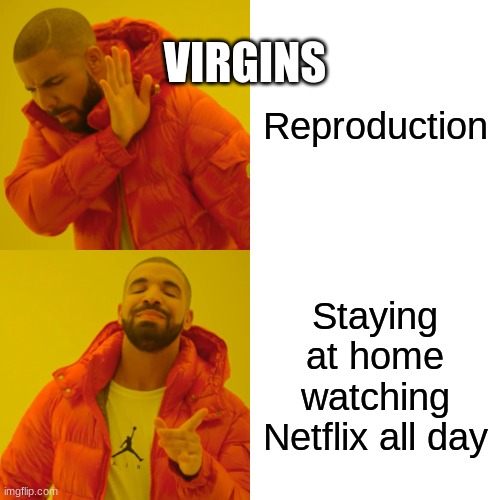 Drake Hotline Bling Meme | VIRGINS; Reproduction; Staying at home watching Netflix all day | image tagged in memes,drake hotline bling | made w/ Imgflip meme maker