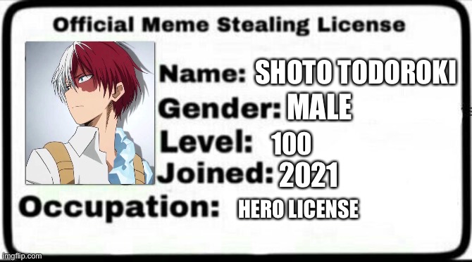 Shoto’s hero license | SHOTO TODOROKI; MALE; 100; 2021; HERO LICENSE | image tagged in my hero academia | made w/ Imgflip meme maker