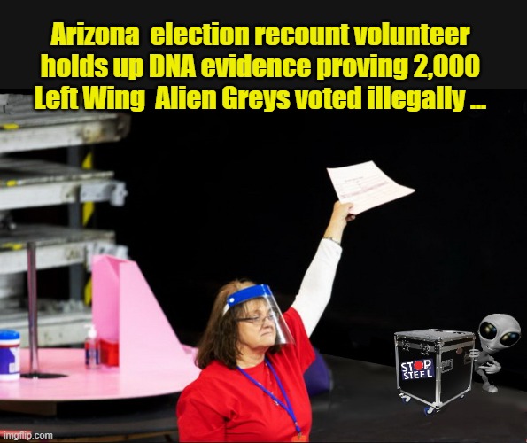 BAM !!! | Arizona  election recount volunteer holds up DNA evidence proving 2,000 Left Wing  Alien Greys voted illegally ... | image tagged in aliens,election,cheating,morons | made w/ Imgflip meme maker