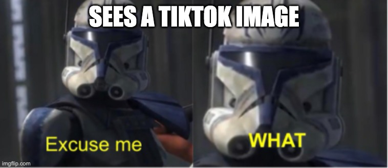 Excuse me what | SEES A TIKTOK IMAGE | image tagged in excuse me what | made w/ Imgflip meme maker