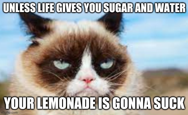 Grumpy Cat's Lemonade | UNLESS LIFE GIVES YOU SUGAR AND WATER; YOUR LEMONADE IS GONNA SUCK | image tagged in grumpy cat,lemonade,when life gives you lemons | made w/ Imgflip meme maker